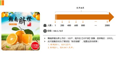 预售拼购模式在农产品电商的实践与价值 以赣南脐橙为例的软件系统推演剖析