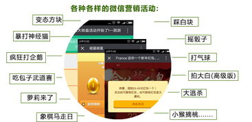 云亚爆炸式微信营销软件 型号、功能与购买指南